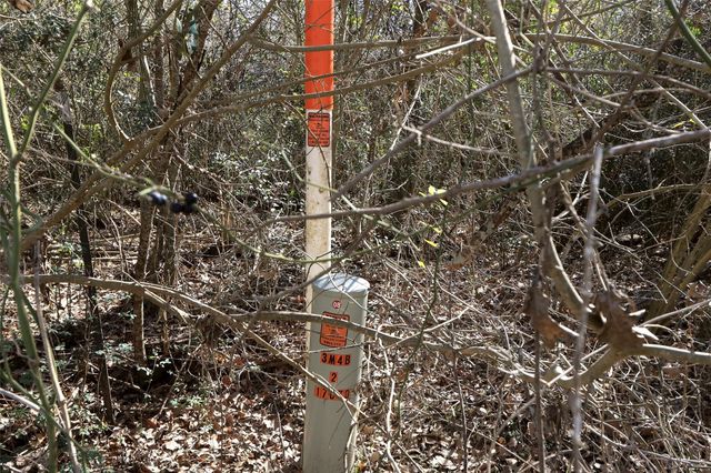 5.002 Acres Winding Meadow Drive, Bedias, TX 77831