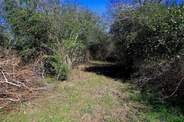 5.002 Acres Winding Meadow Drive, Bedias, TX 77831