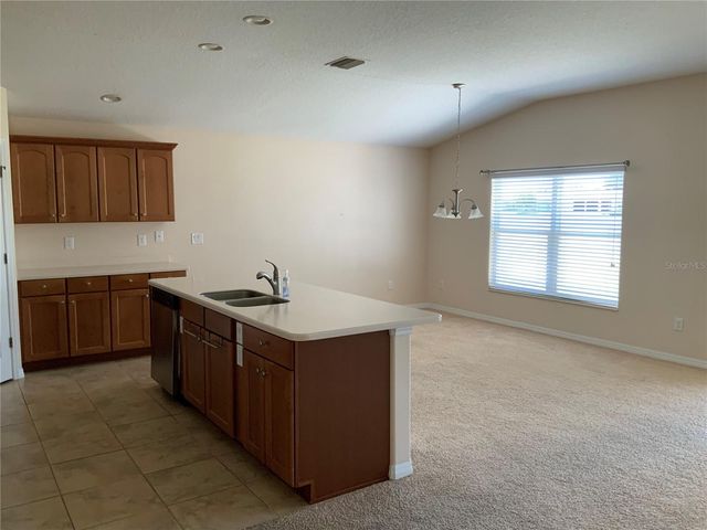 27215 ROANOKE DRIVE, Leesburg, FL 34748
