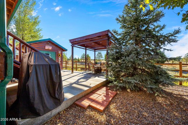2654 PALOMINO Trail, Overgaard, AZ 85933