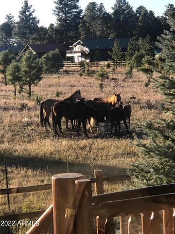 2654 PALOMINO Trail, Overgaard, AZ 85933