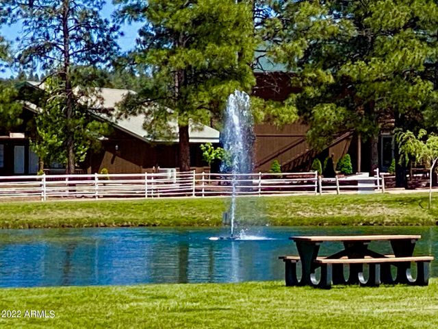 2654 PALOMINO Trail, Overgaard, AZ 85933