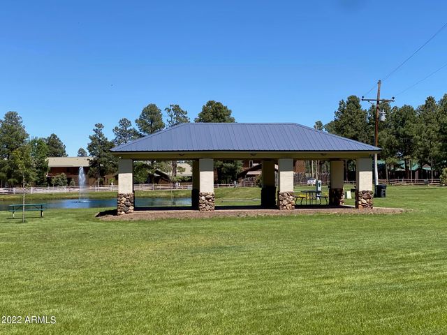 2654 PALOMINO Trail, Overgaard, AZ 85933
