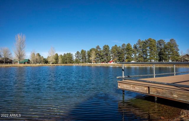 2654 PALOMINO Trail, Overgaard, AZ 85933