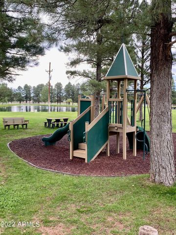 2654 PALOMINO Trail, Overgaard, AZ 85933