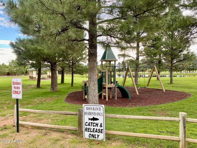 2654 PALOMINO Trail, Overgaard, AZ 85933