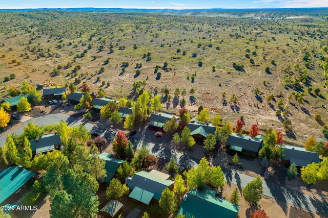 2654 PALOMINO Trail, Overgaard, AZ 85933