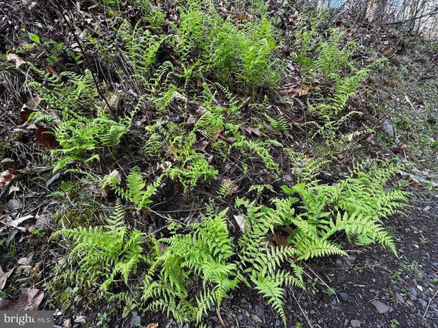 0 CASTLETON FORD, Castleton, VA 22716