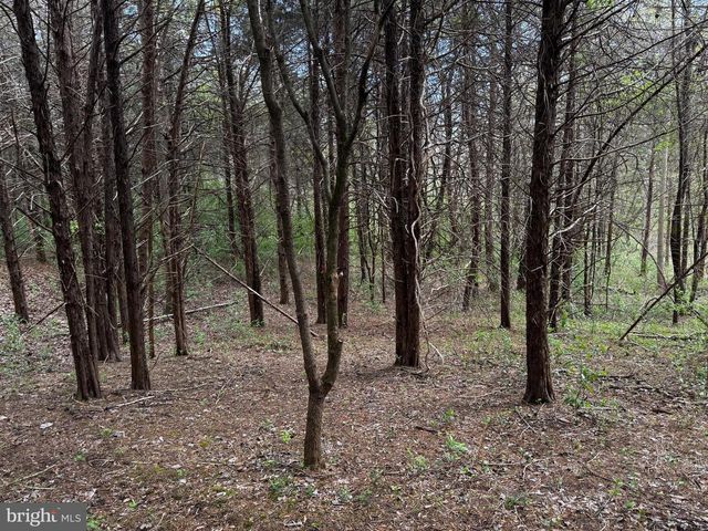 0 CASTLETON FORD, Castleton, VA 22716