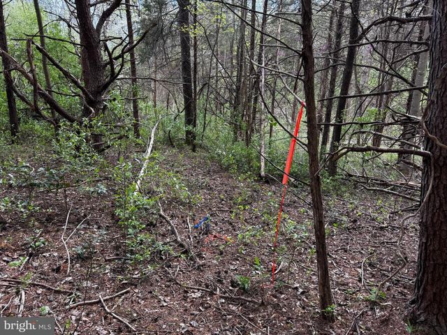 0 CASTLETON FORD, Castleton, VA 22716