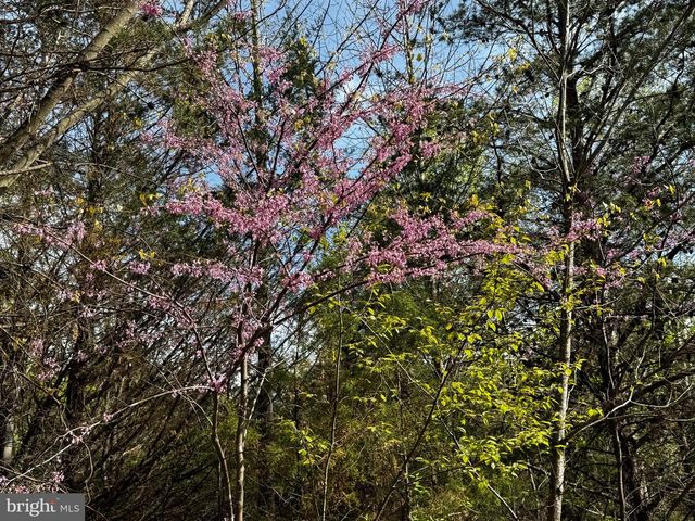 0 CASTLETON FORD, Castleton, VA 22716