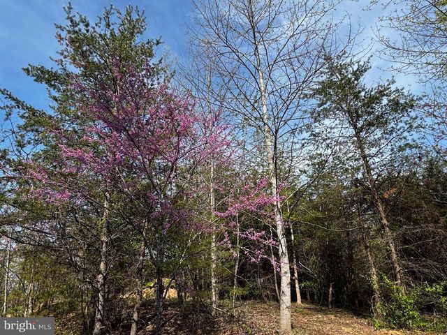 0 CASTLETON FORD, Castleton, VA 22716