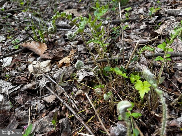 0 CASTLETON FORD, Castleton, VA 22716