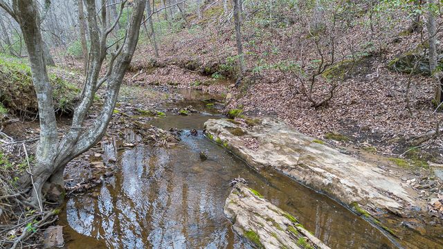 108 Trapper LN, Vinton, VA 24179