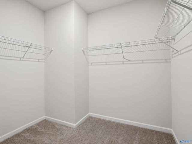 159 Story Ray Drive, New Market, AL 35761