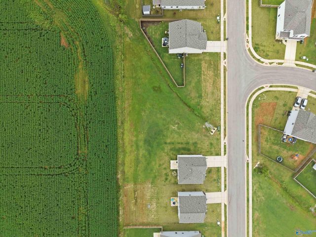 159 Story Ray Drive, New Market, AL 35761