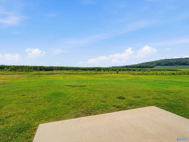 159 Story Ray Drive, New Market, AL 35761