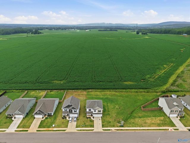 159 Story Ray Drive, New Market, AL 35761