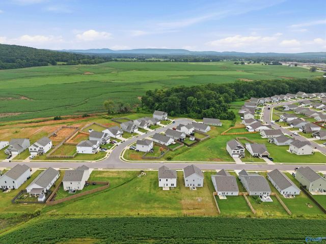 159 Story Ray Drive, New Market, AL 35761