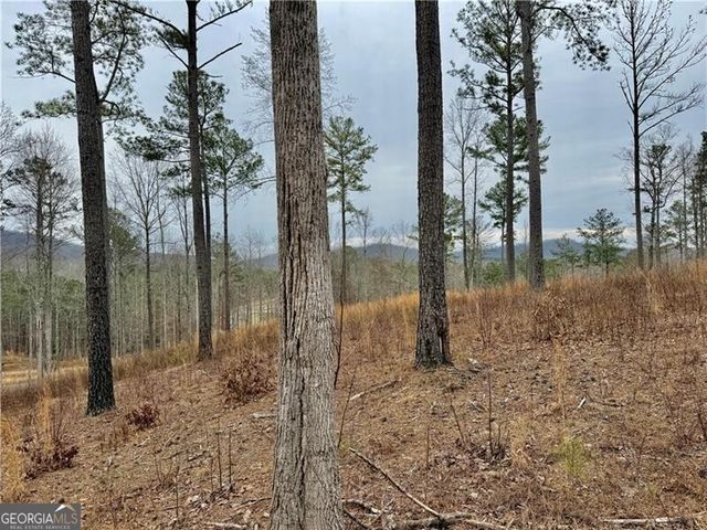 347 Timbercreek Trail, Talking Rock, GA 30175