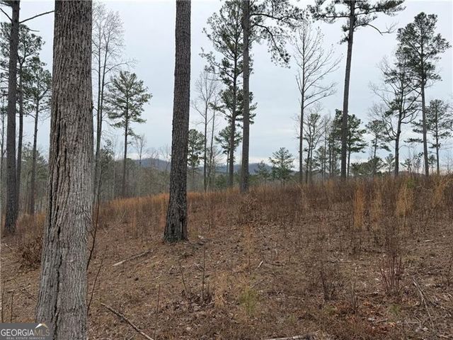 347 Timbercreek Trail, Talking Rock, GA 30175