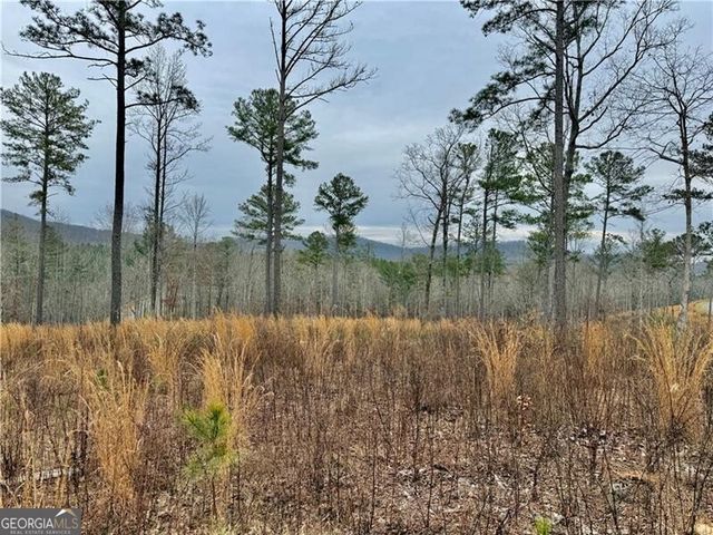 347 Timbercreek Trail, Talking Rock, GA 30175