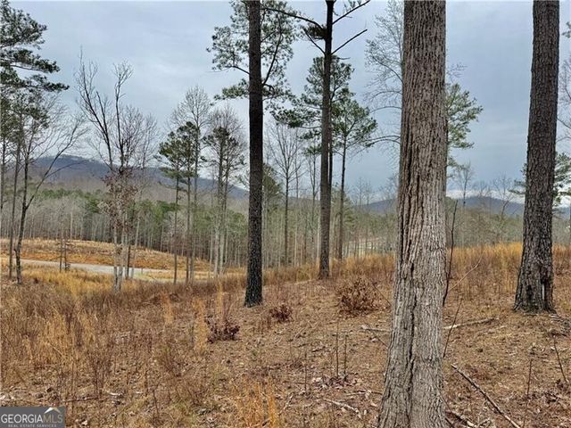 347 Timbercreek Trail, Talking Rock, GA 30175