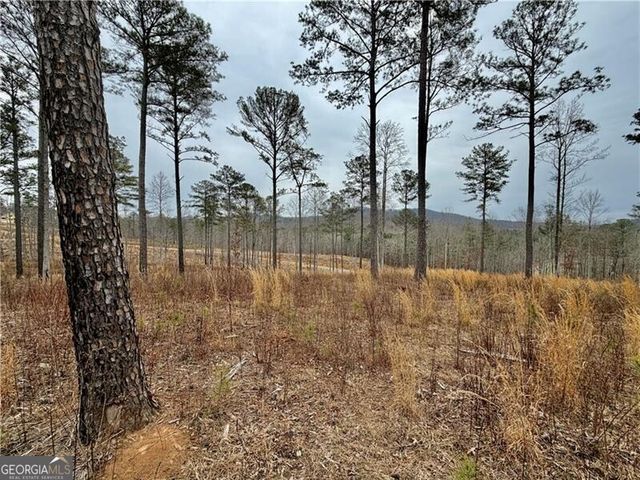 347 Timbercreek Trail, Talking Rock, GA 30175