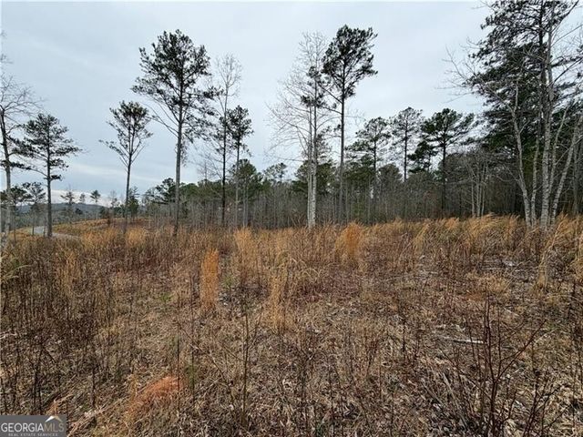 347 Timbercreek Trail, Talking Rock, GA 30175