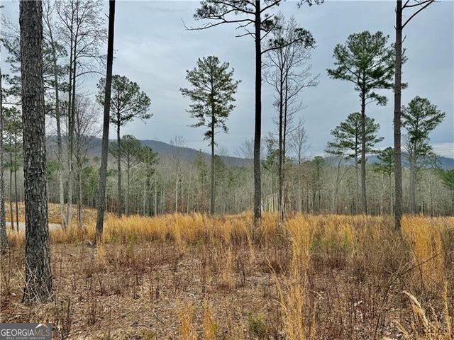 347 Timbercreek Trail, Talking Rock, GA 30175