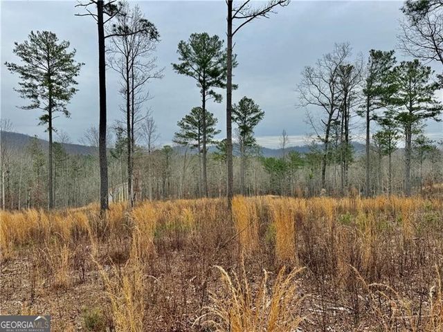 347 Timbercreek Trail, Talking Rock, GA 30175