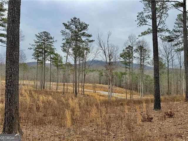 347 Timbercreek Trail, Talking Rock, GA 30175