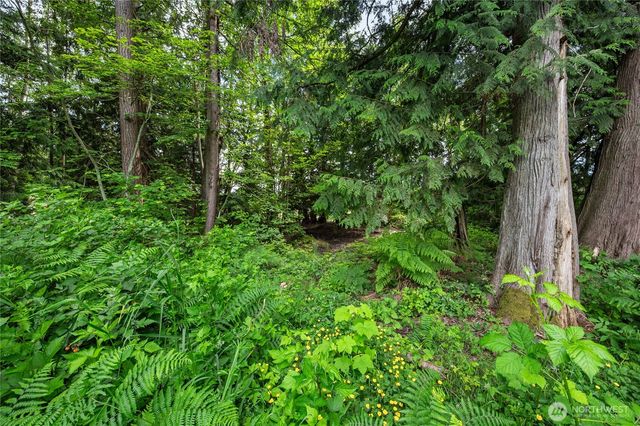 3233 Loomis Trail Road, Custer, WA 98240