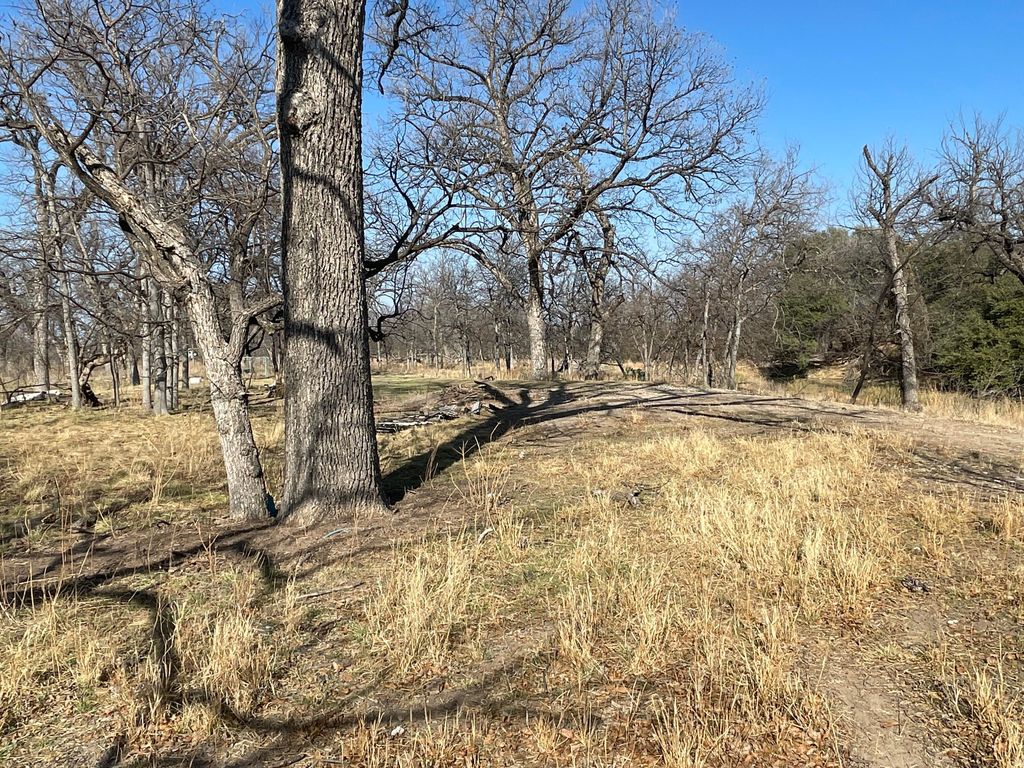 Image 13 of property listing at Tbd Hwy 67 Highway, Mertzon, TX 76941