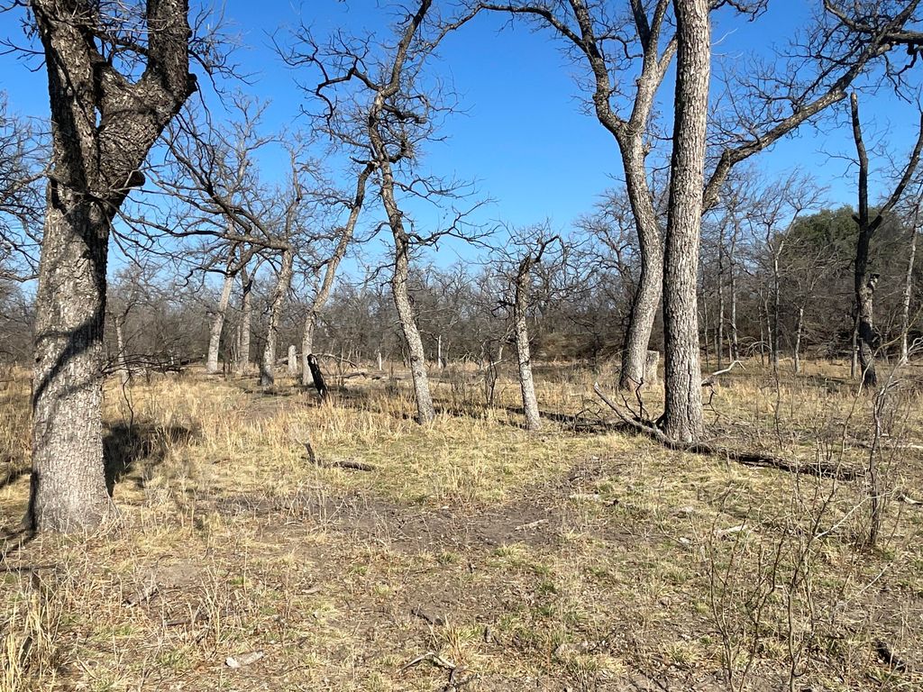 Image 15 of property listing at Tbd Hwy 67 Highway, Mertzon, TX 76941