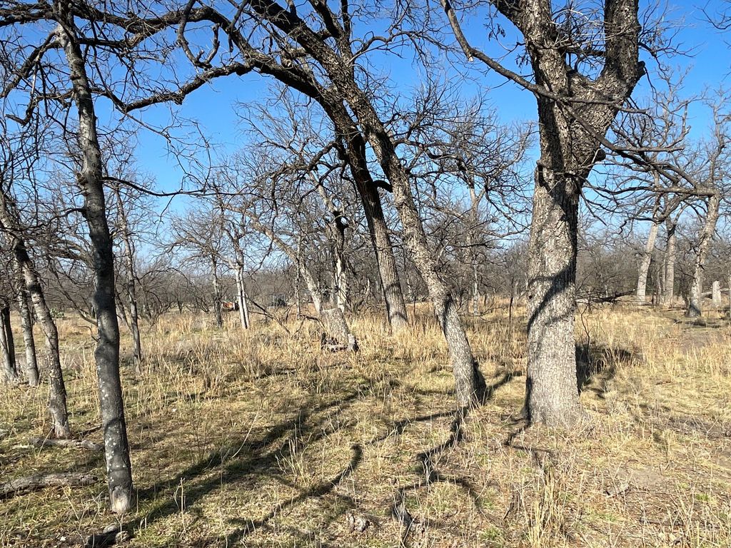 Image 16 of property listing at Tbd Hwy 67 Highway, Mertzon, TX 76941