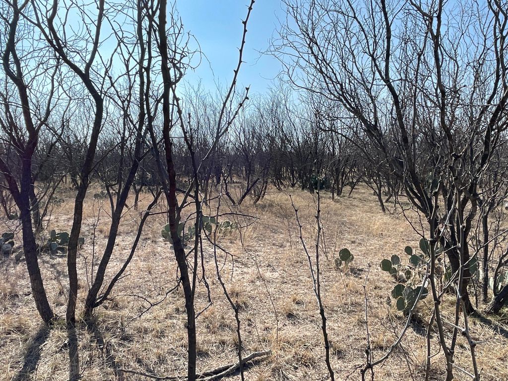 Image 17 of property listing at Tbd Hwy 67 Highway, Mertzon, TX 76941