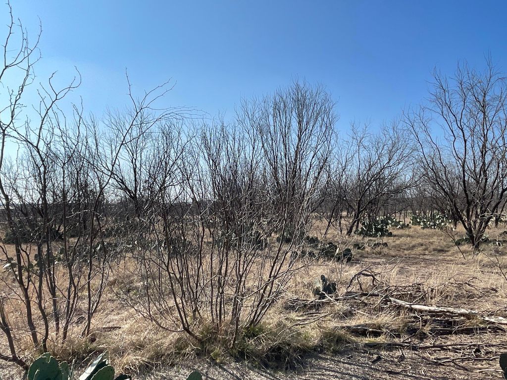 Image 19 of property listing at Tbd Hwy 67 Highway, Mertzon, TX 76941