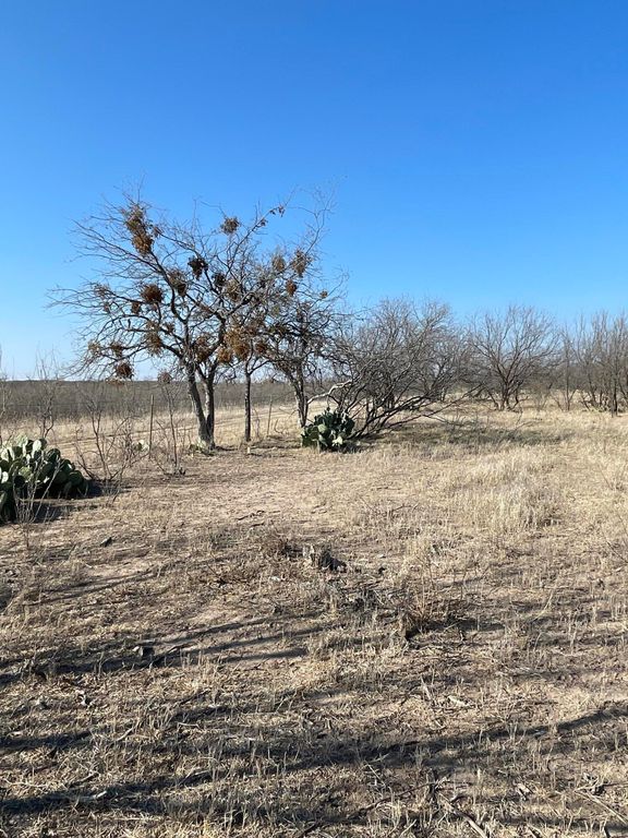 Image 20 of property listing at Tbd Hwy 67 Highway, Mertzon, TX 76941
