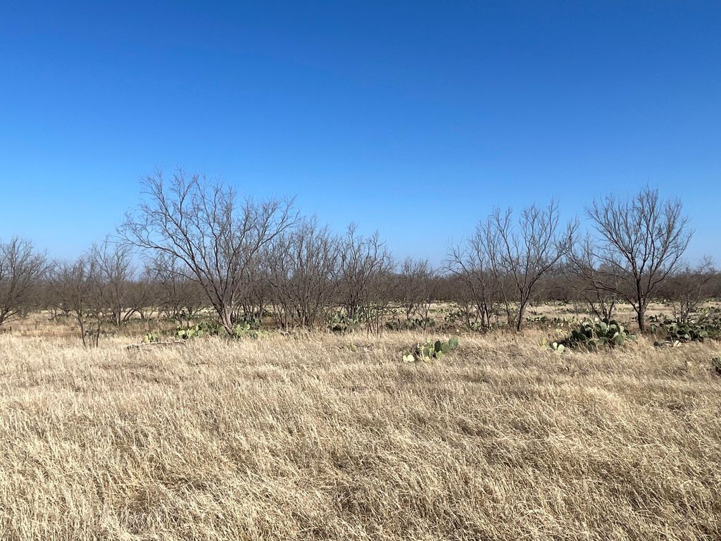 Image 23 of property listing at Tbd Hwy 67 Highway, Mertzon, TX 76941