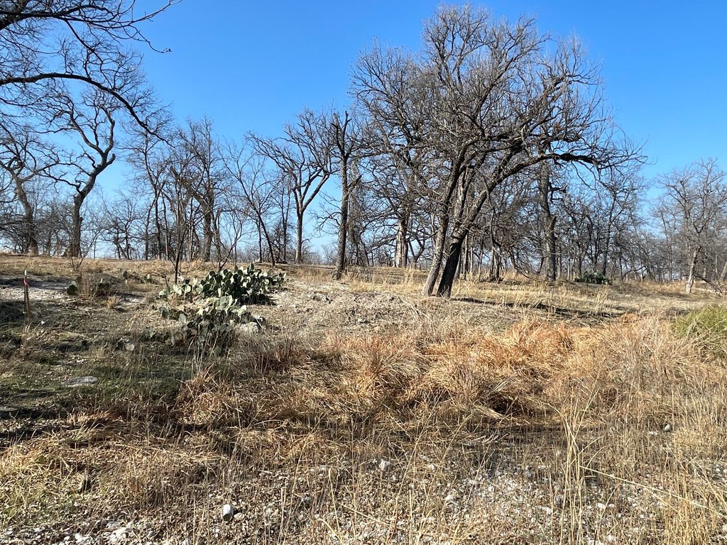 Image 29 of property listing at Tbd Hwy 67 Highway, Mertzon, TX 76941