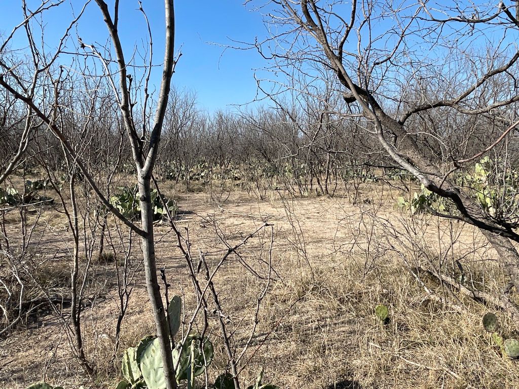 Image 3 of property listing at Tbd Hwy 67 Highway, Mertzon, TX 76941