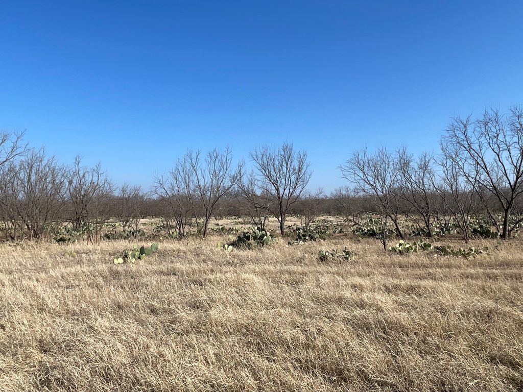 Image 4 of property listing at Tbd Hwy 67 Highway, Mertzon, TX 76941