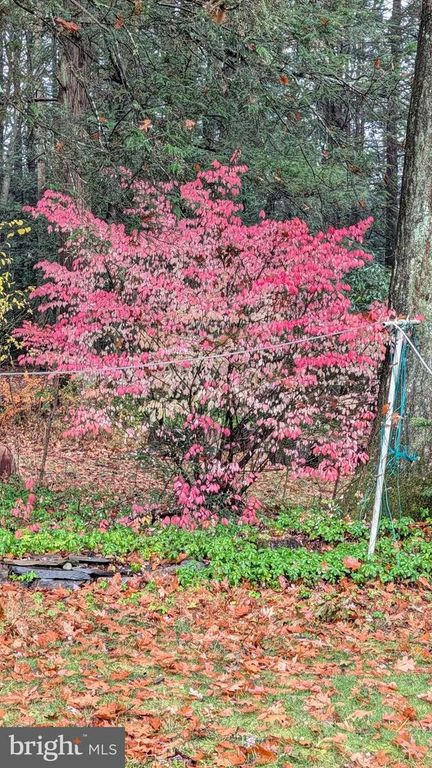 Image 74 of property listing at 20 SERFASS LN, Palmerton, PA 18071