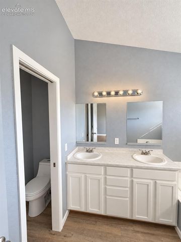 3077 Wild Peregrine View, Colorado Springs, CO 80916