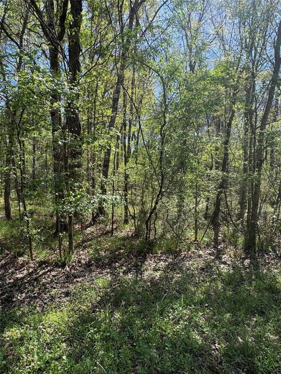 TBD Cr 2505, Liberty, TX 77575