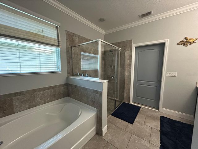 410 E FREESIA COURT, Deland, FL 32724