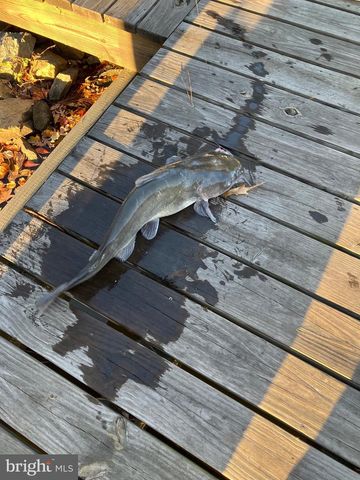 31394 POINT CIR, Lewes, DE 19958