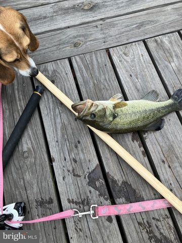 31394 POINT CIR, Lewes, DE 19958