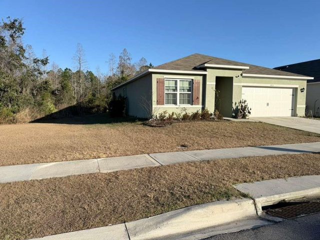 1415 FOX SQUIRREL DRIVE, Davenport, FL 33897